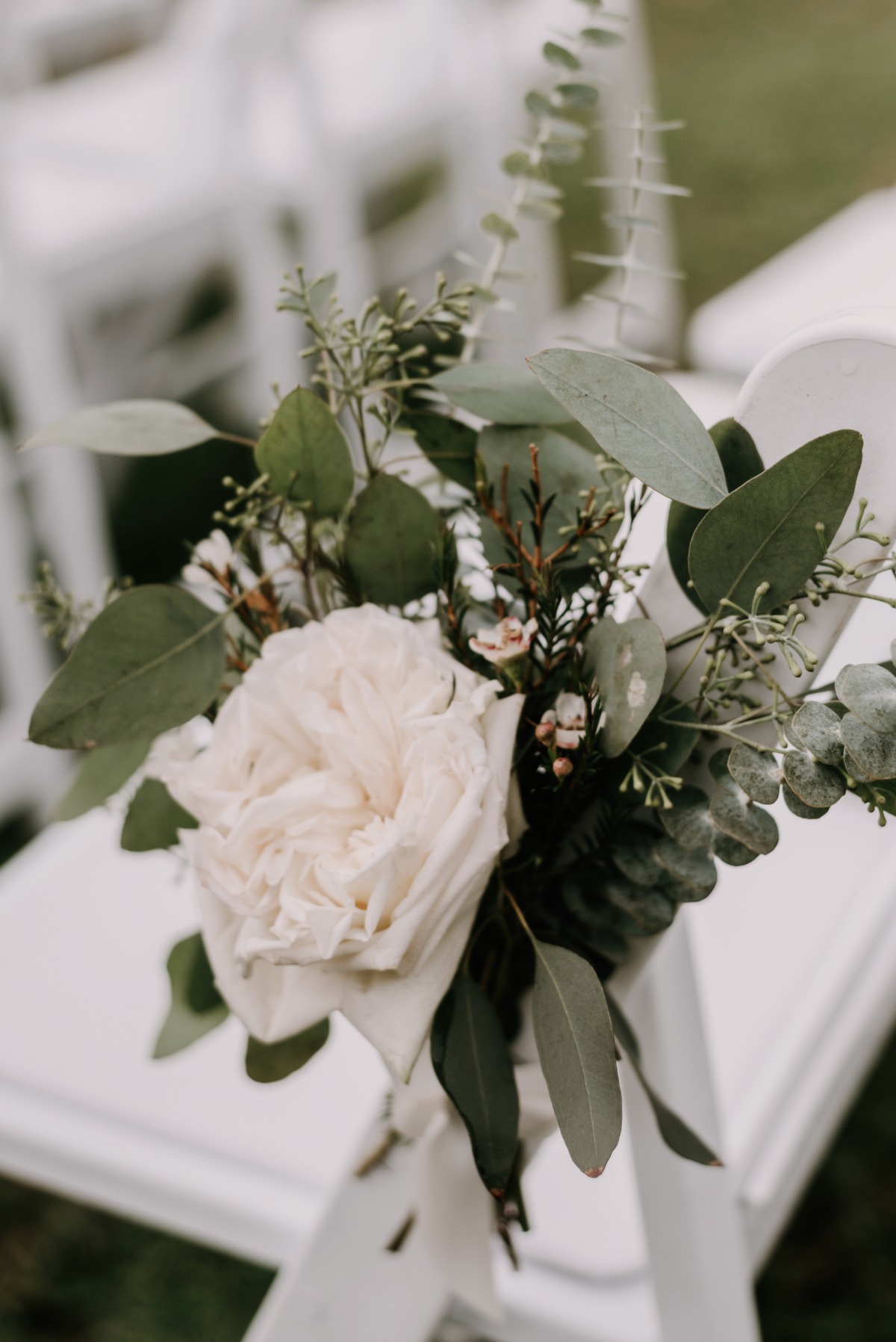 jennolwed_116_4610a
