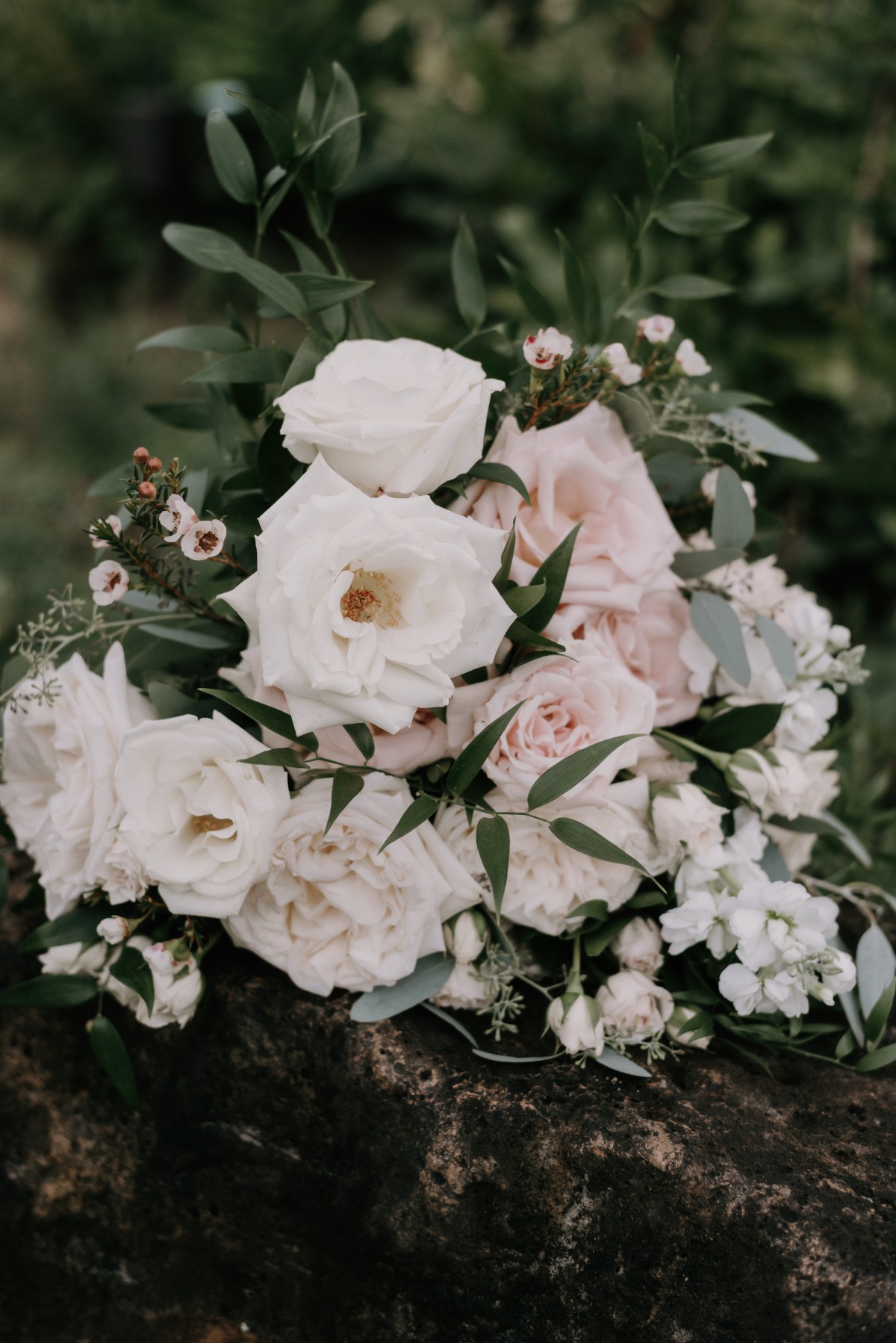 jennolwed_394_6149a