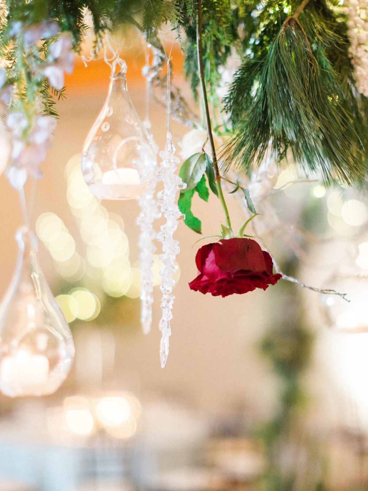 jharperphotography_2018-459