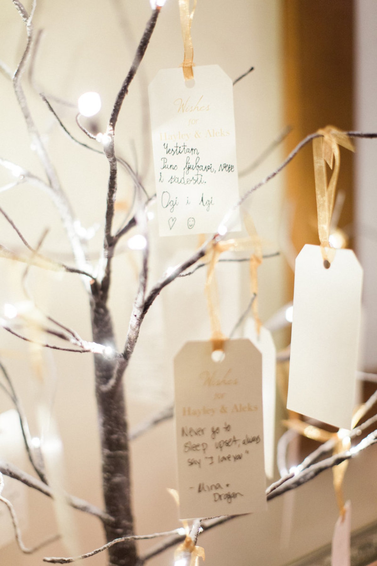 jharperphotography_2018-538