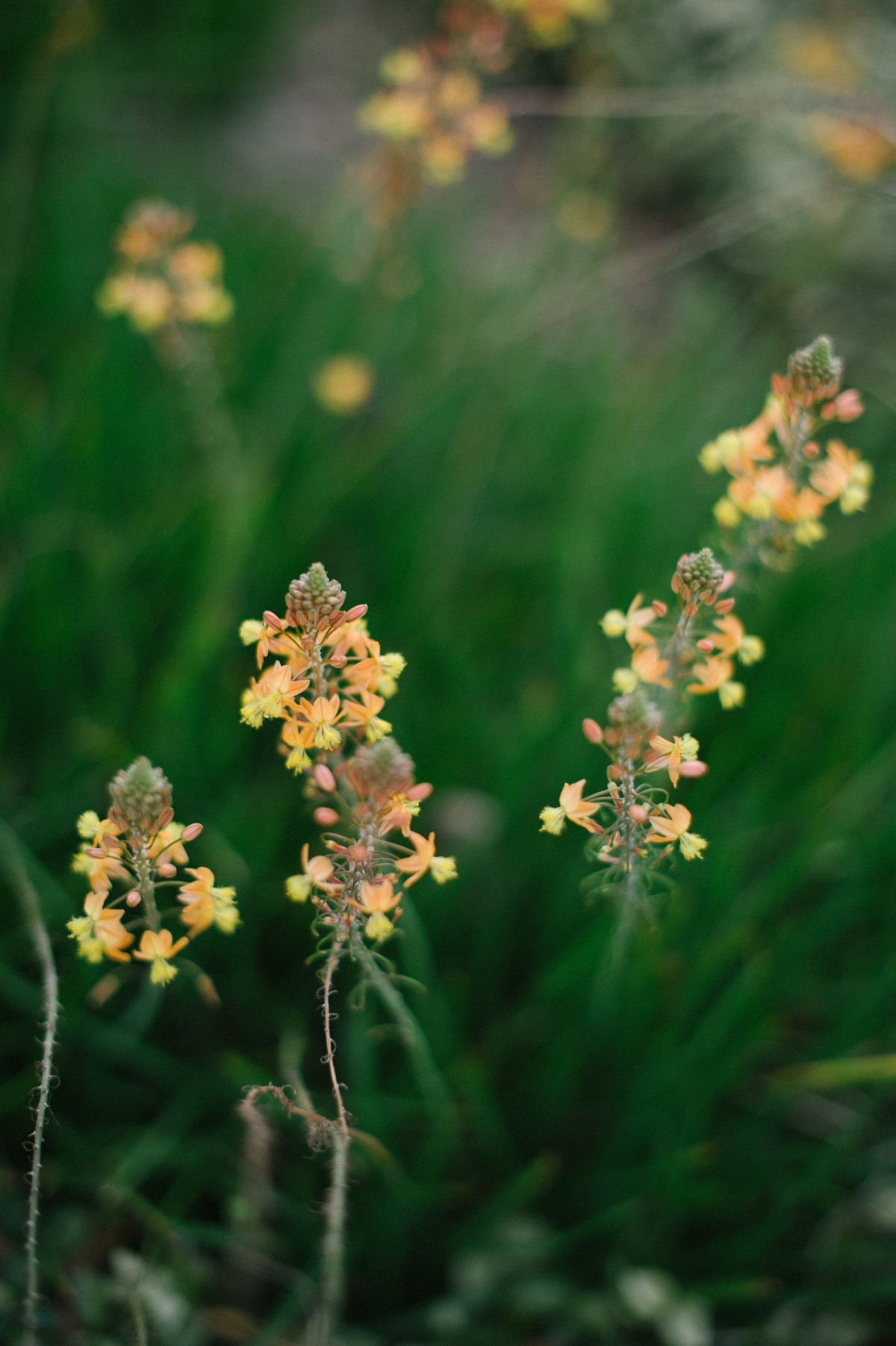 jordanweilandphotography-41
