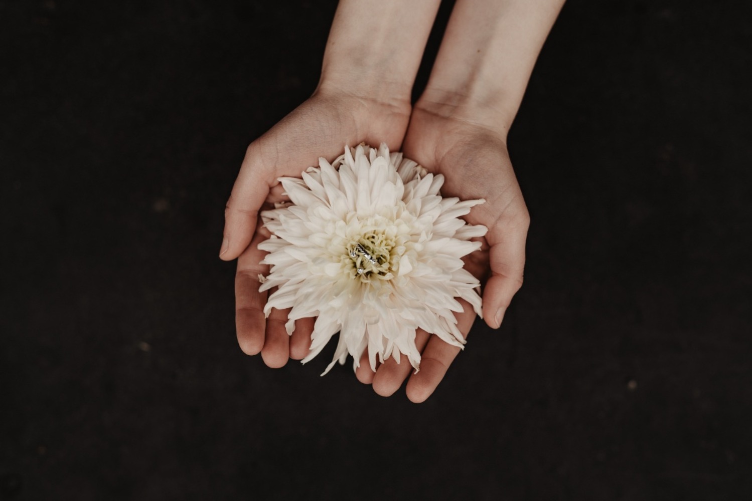 minimal-winter-inspirations-kira-stein-f