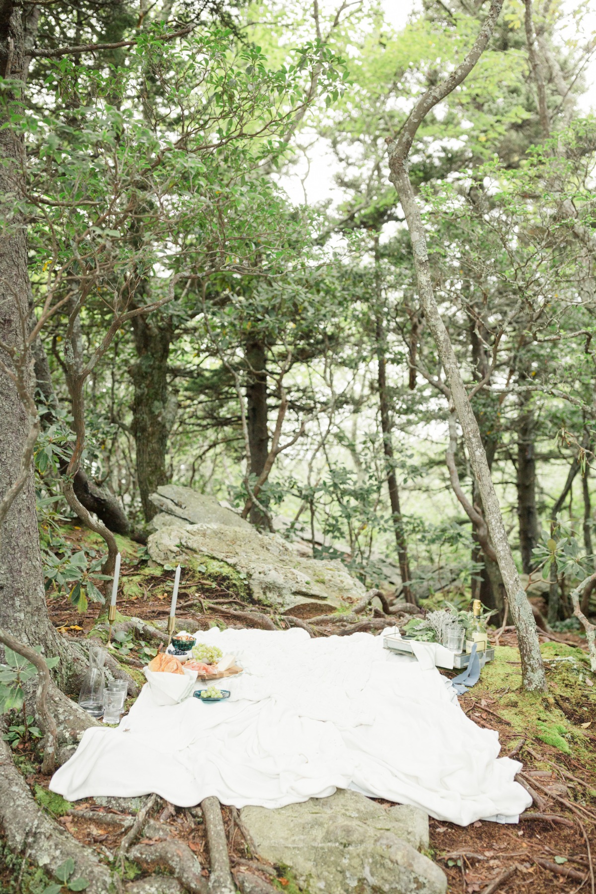 simple-mountain-elopement-christa-norman