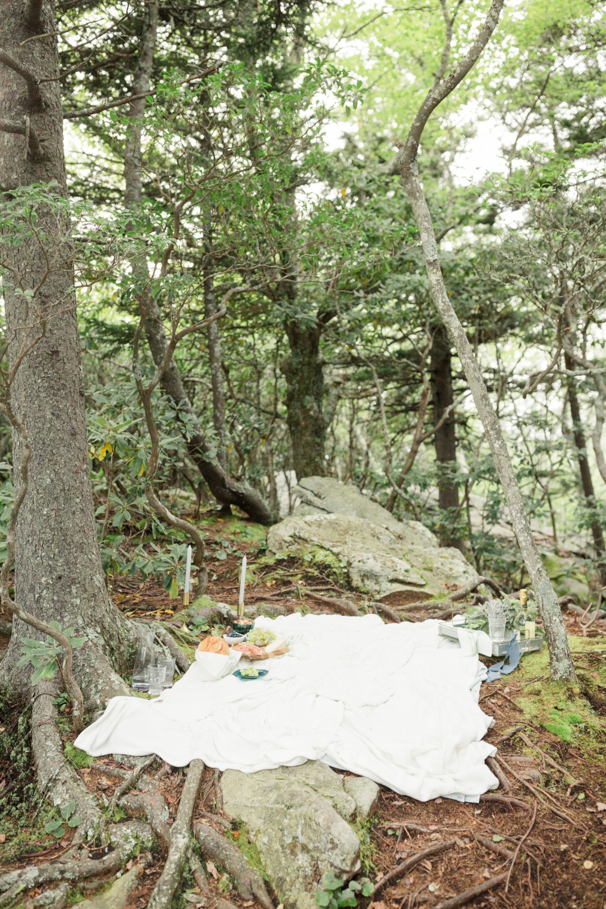 simple-mountain-elopement-christa-norman