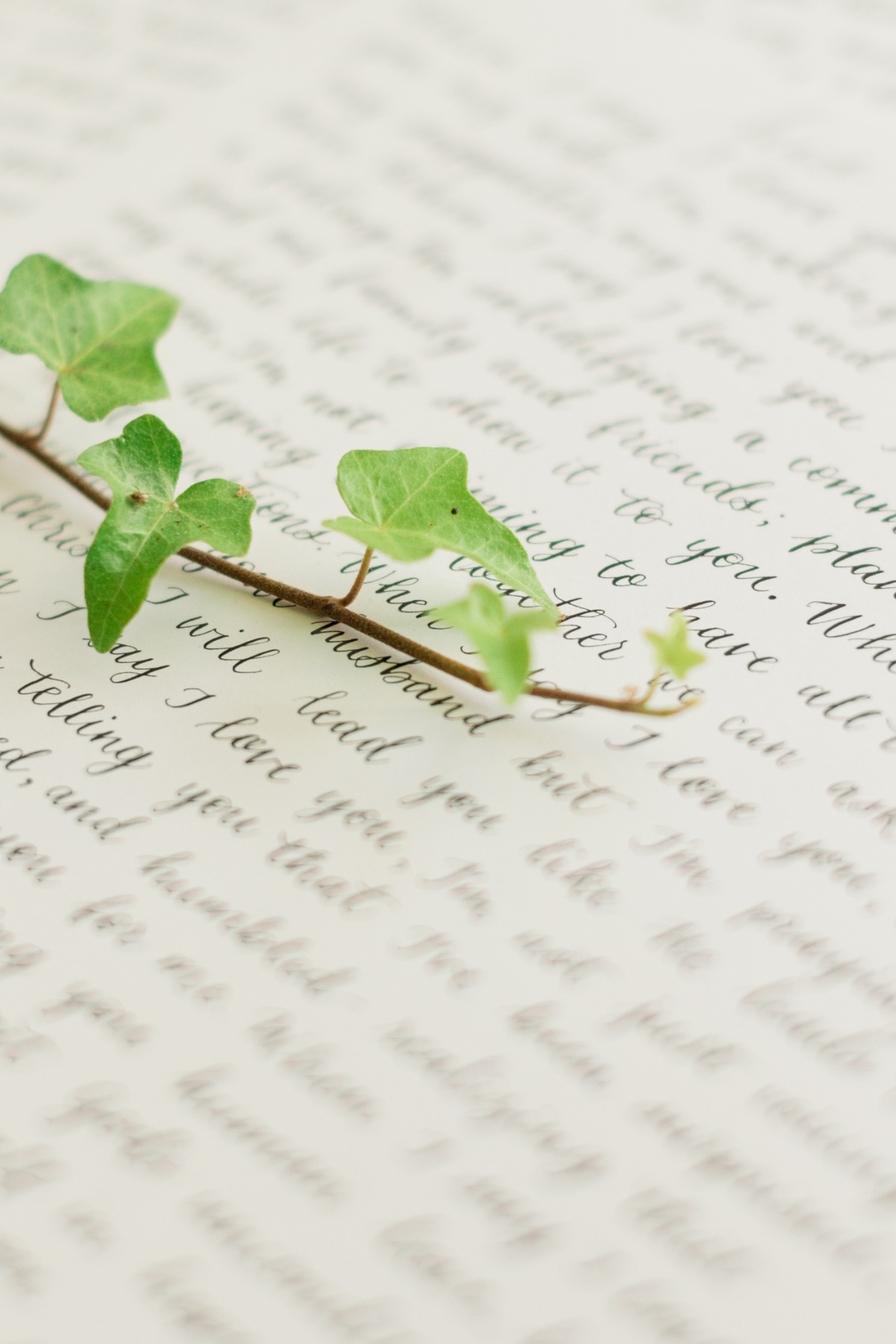 simple-mountain-elopement-christa-norman