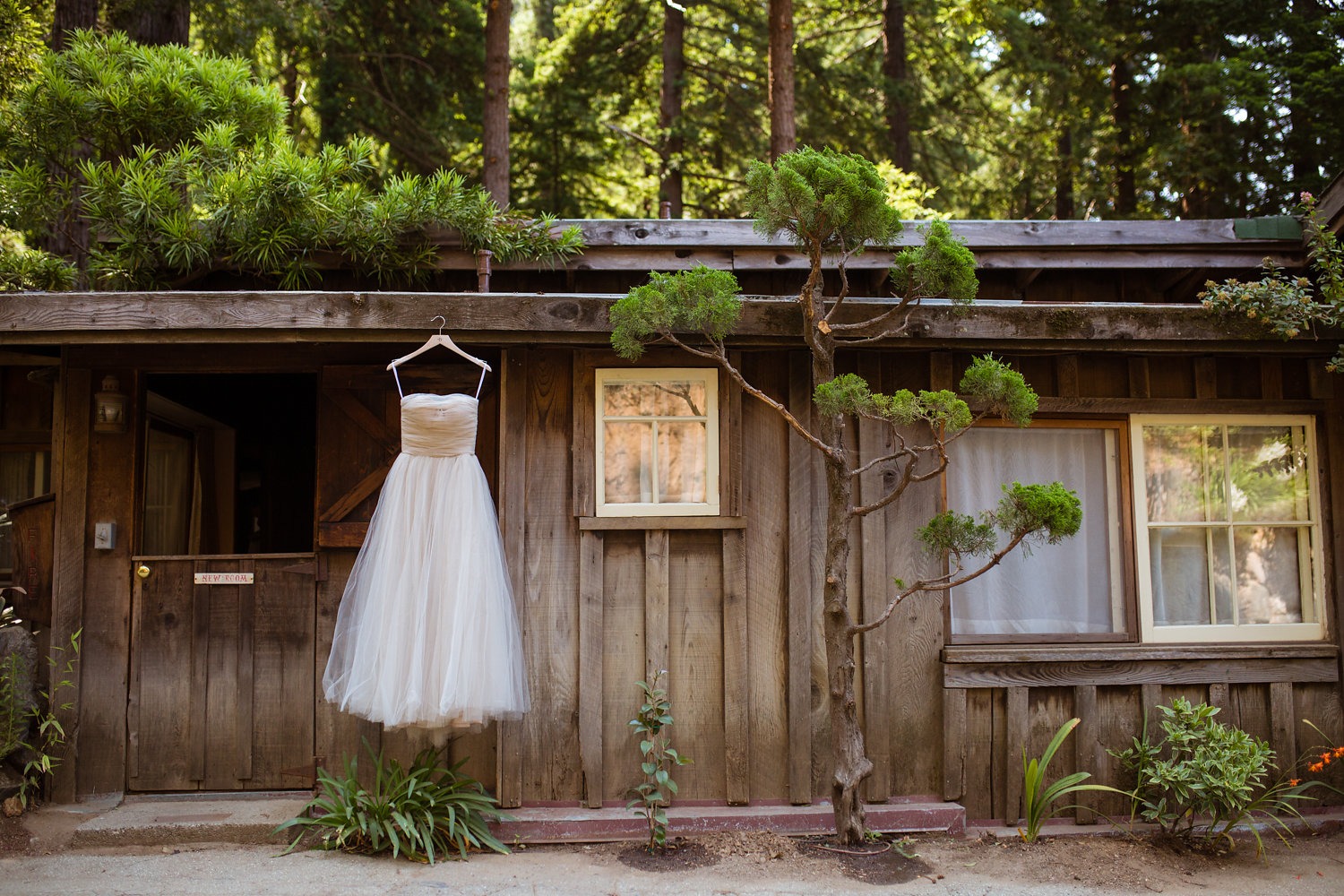 wedding-submission-from-sarah-rittenour
