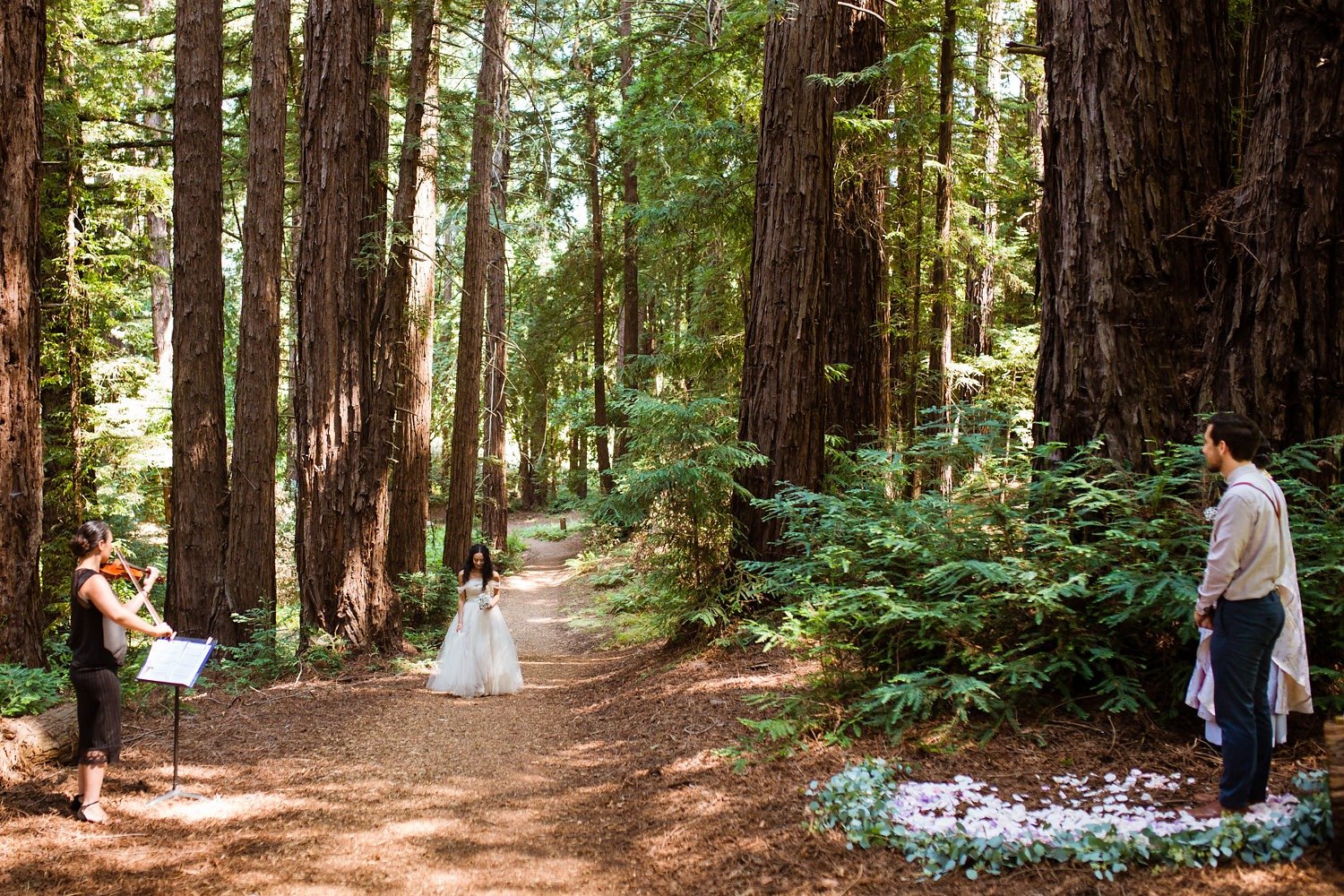 Redwoods elopement