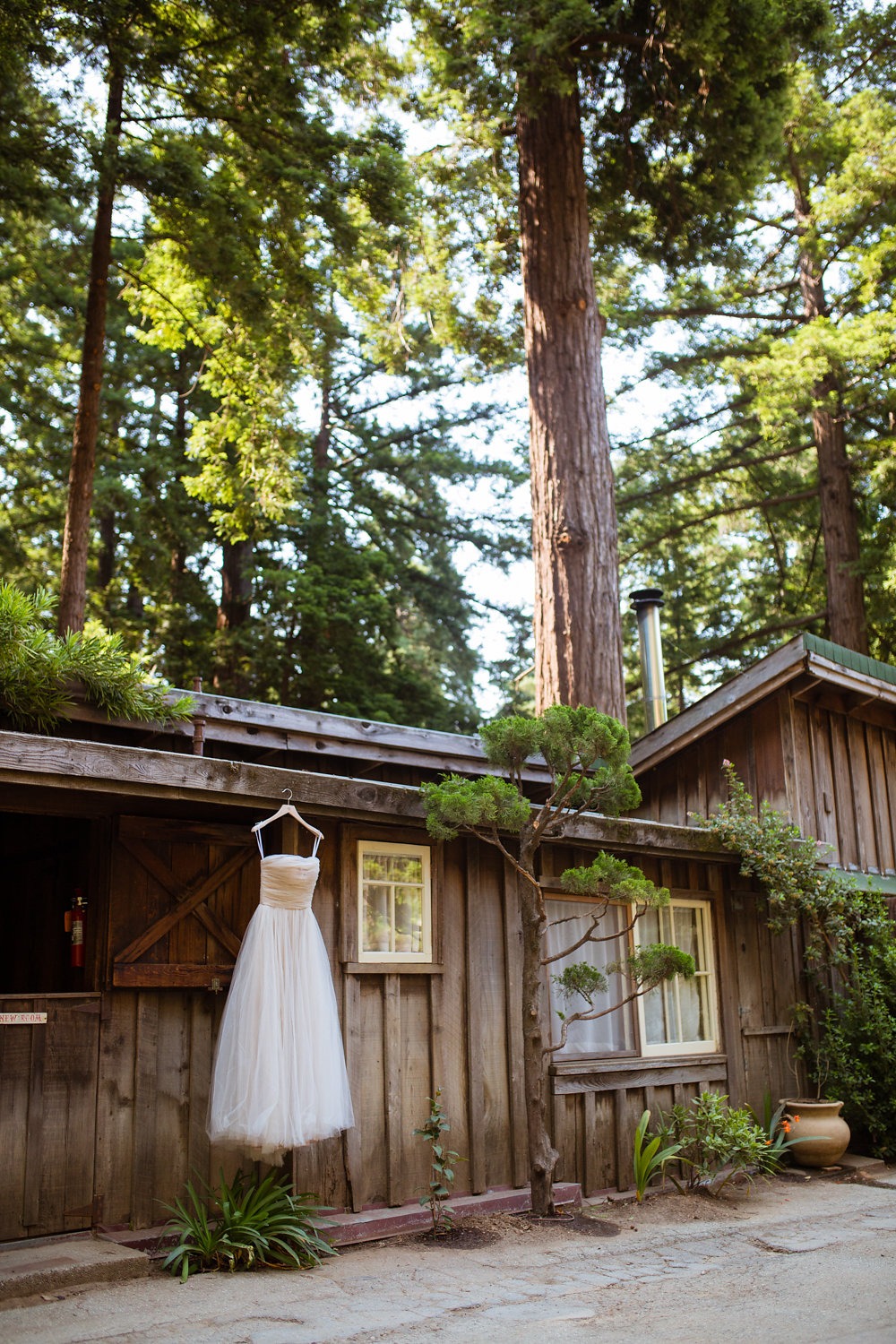 wedding-submission-from-sarah-rittenour