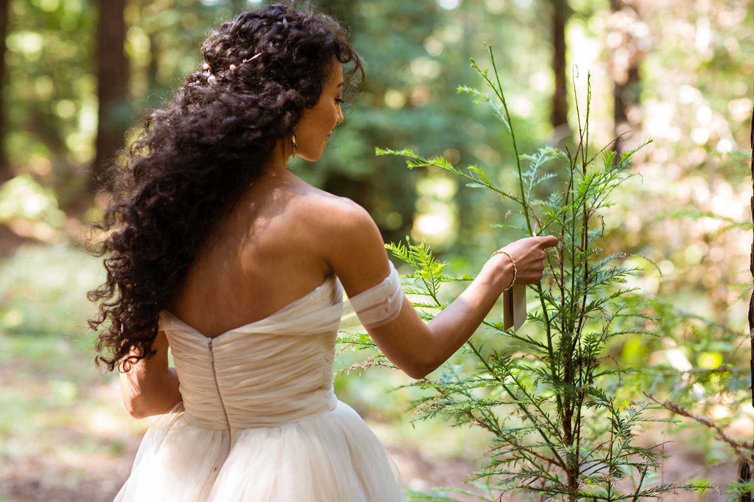 wedding-submission-from-sarah-rittenour