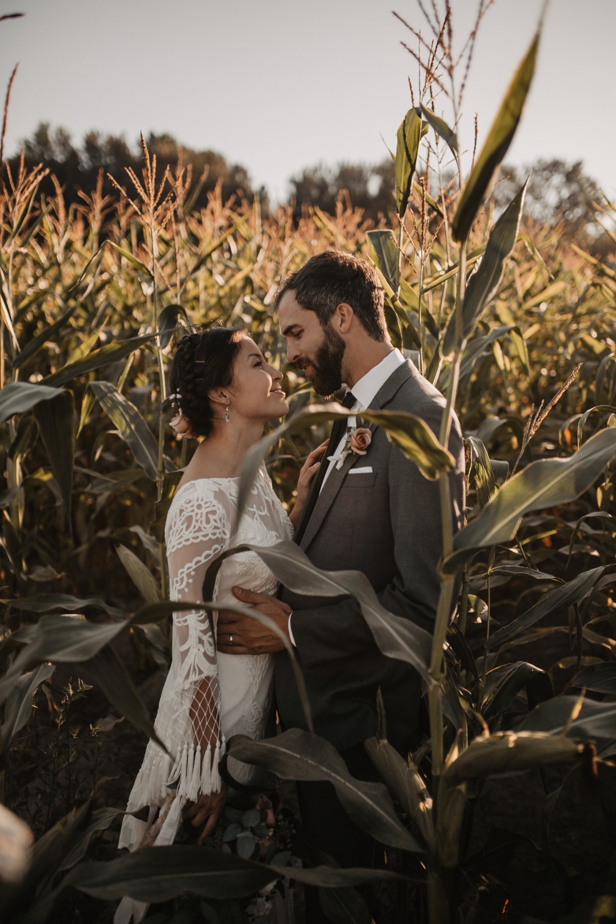 wedding portraits in a corn field