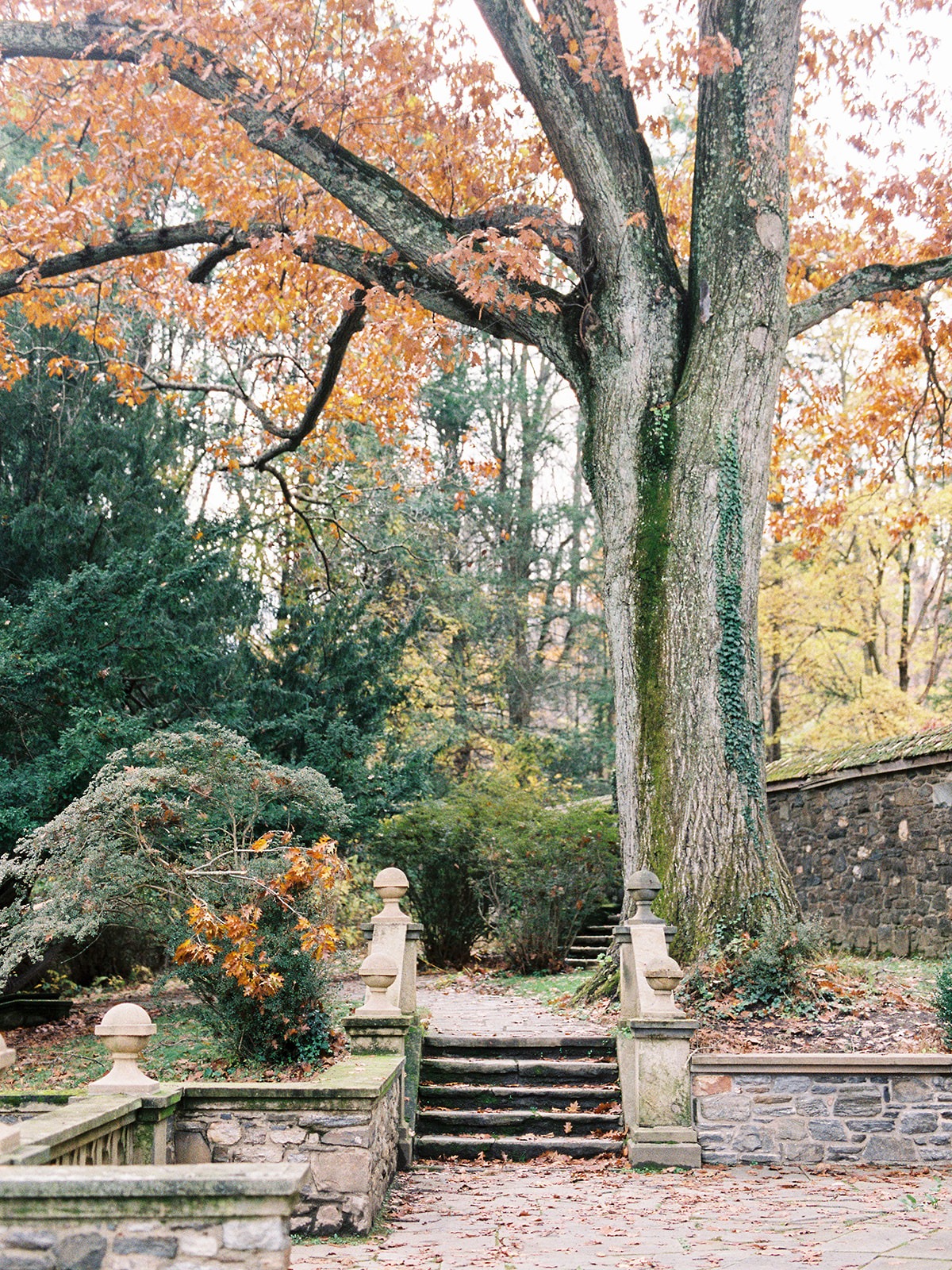 du_soleil_photographie_parque_wedding_ed