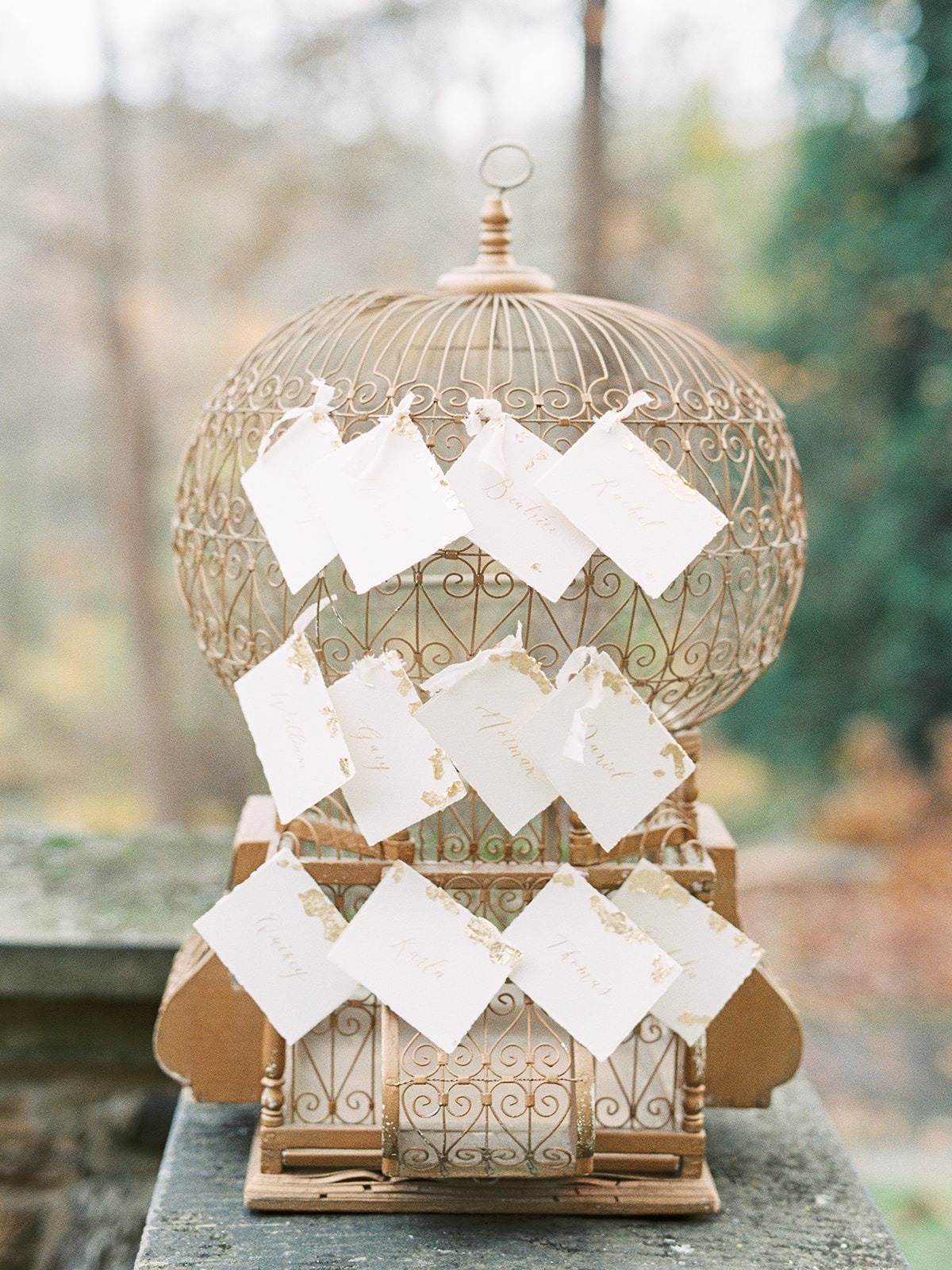 Elegant birdcage displaying place cards for a wedding event