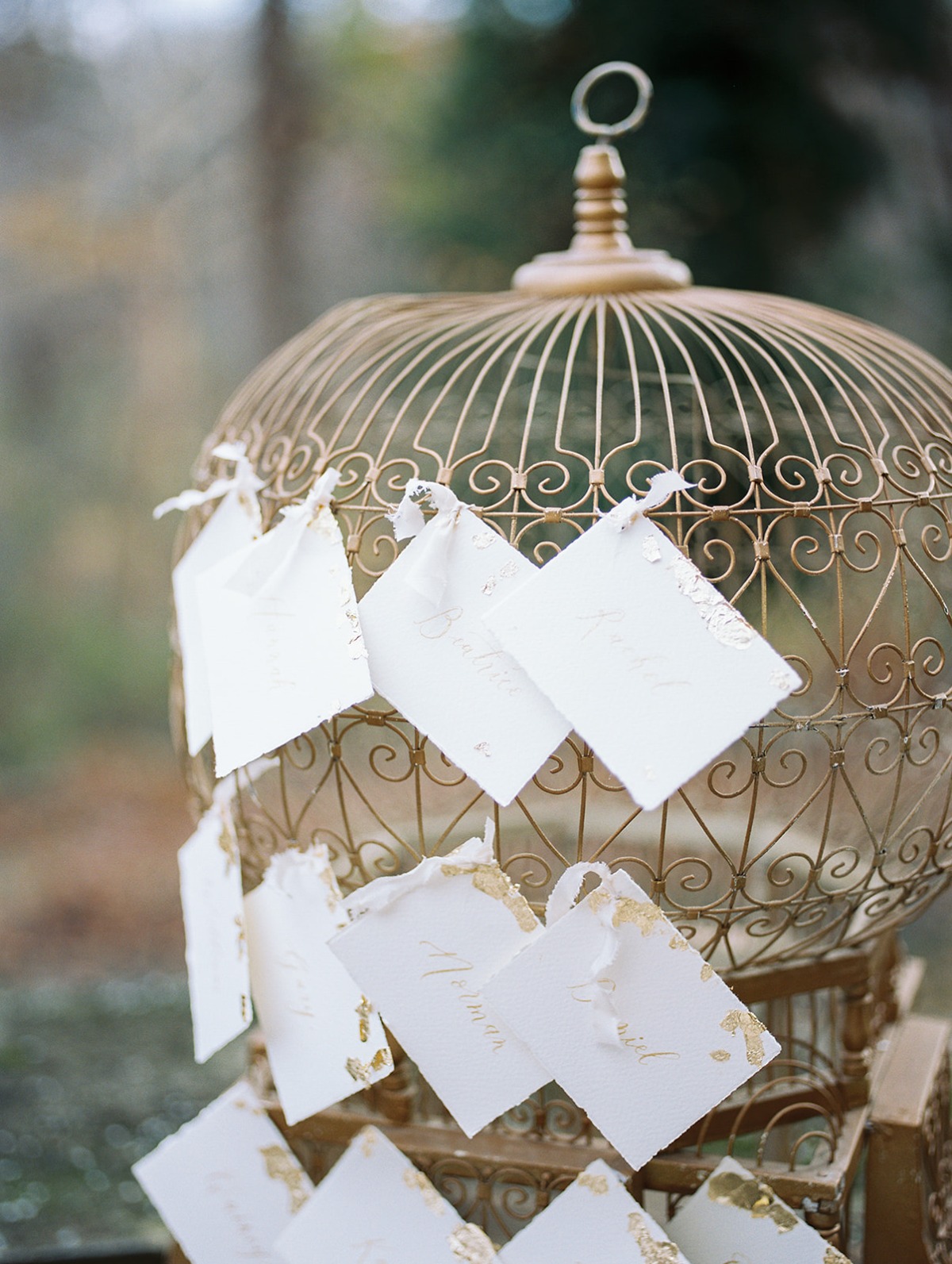 du_soleil_photographie_parque_wedding_ed