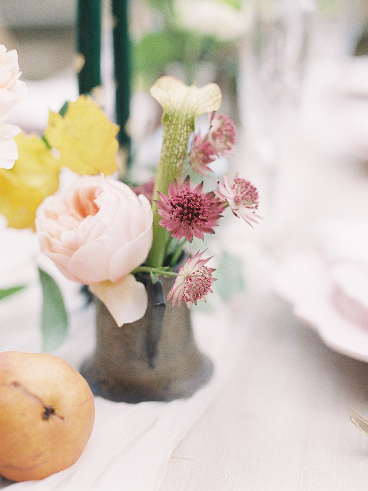 du_soleil_photographie_parque_wedding_ed