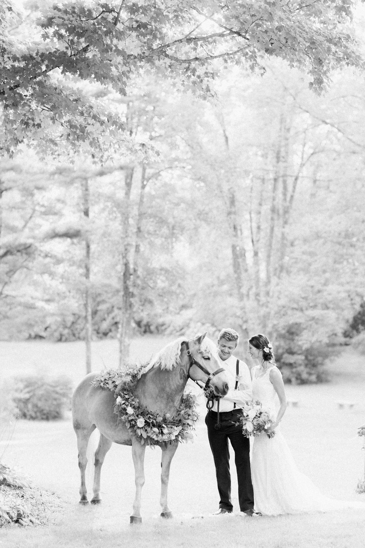 equestrian-48