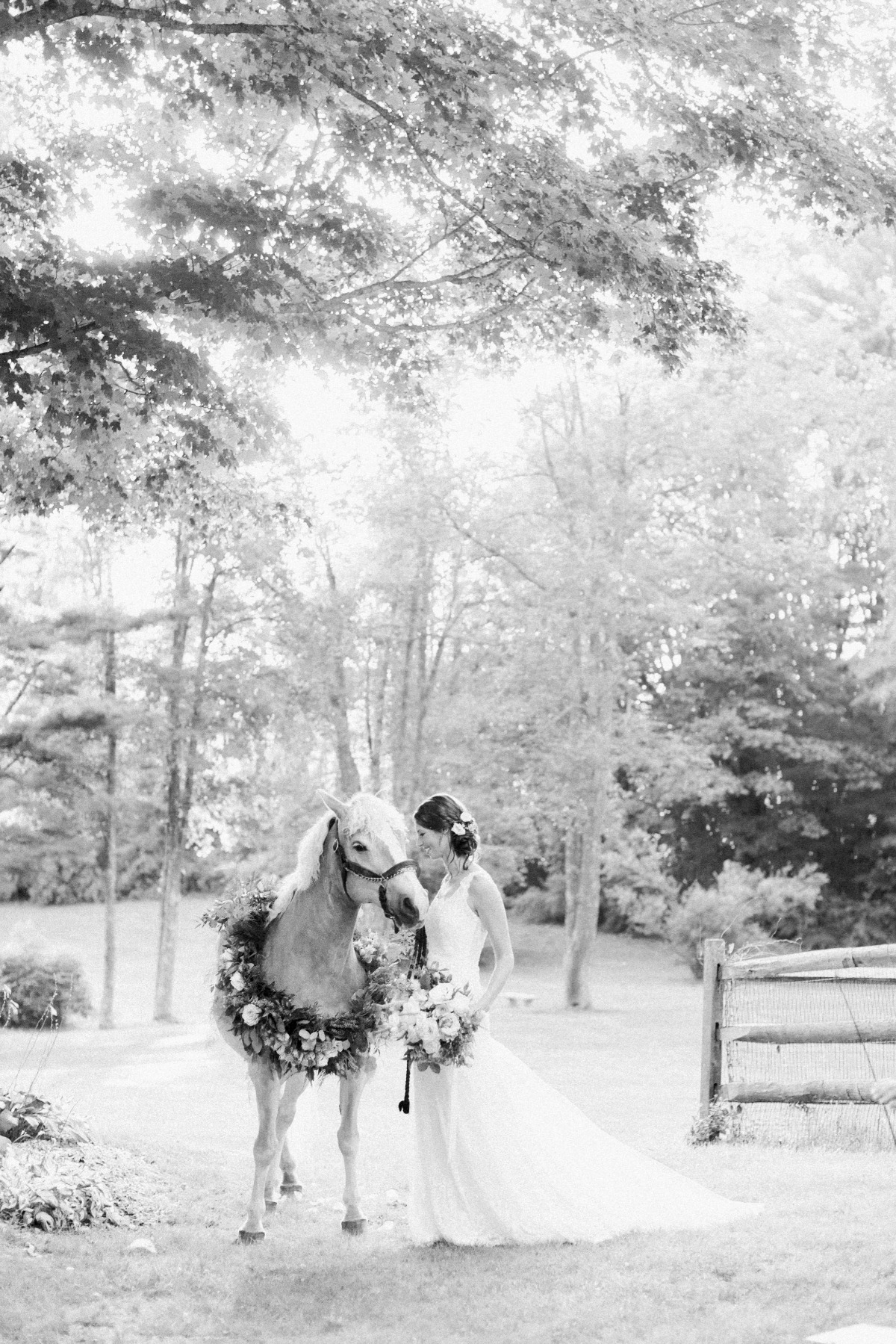 equestrian-57