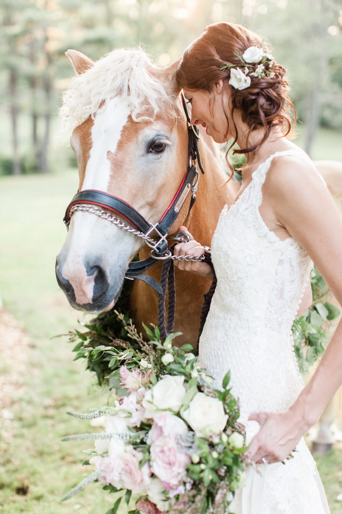 equestrian-58