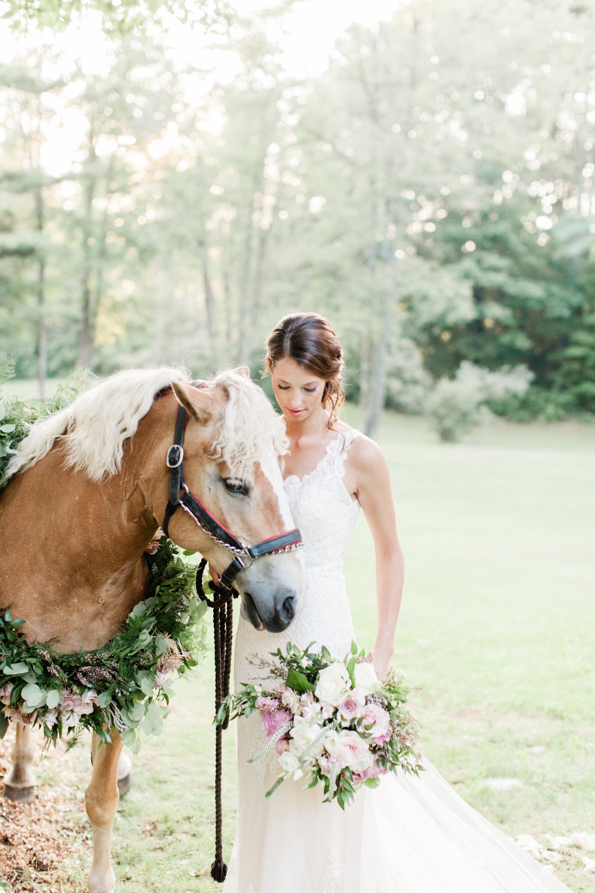 equestrian-60