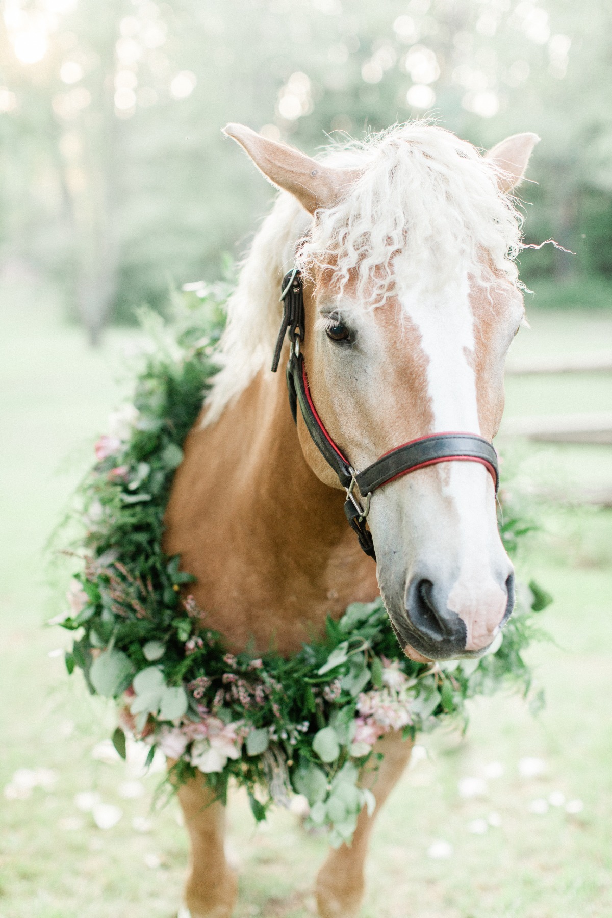floral wreath for your wedding horse