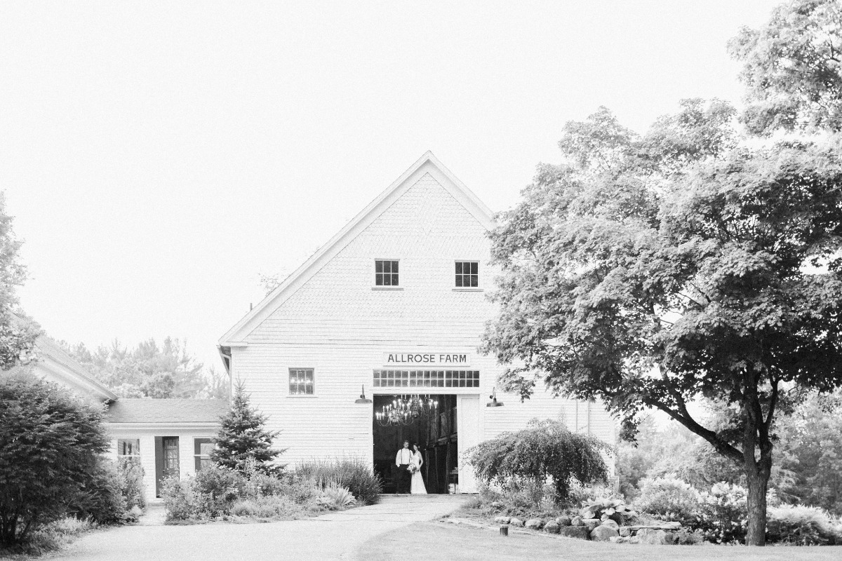 equestrian-81
