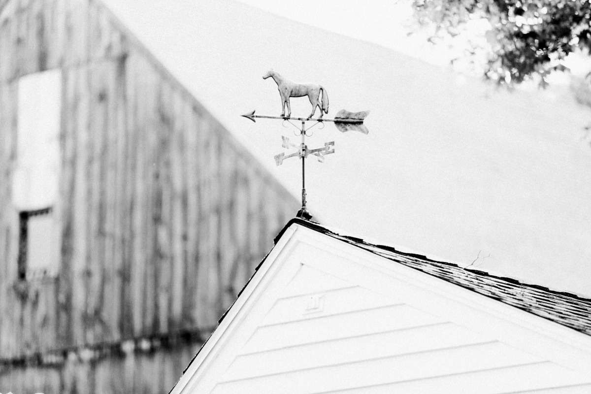 equestrian-91