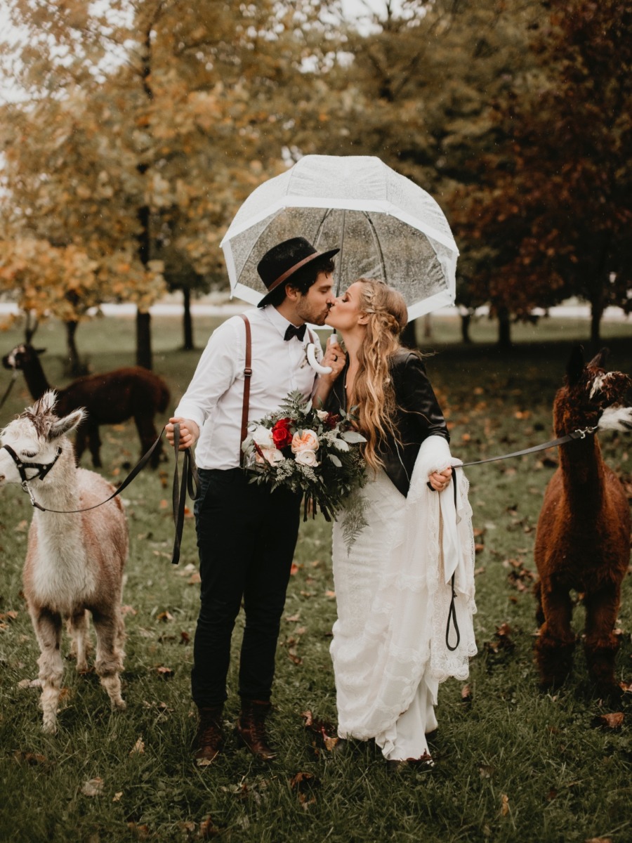 Autumn Boho Wedding on an Alpaca Farm