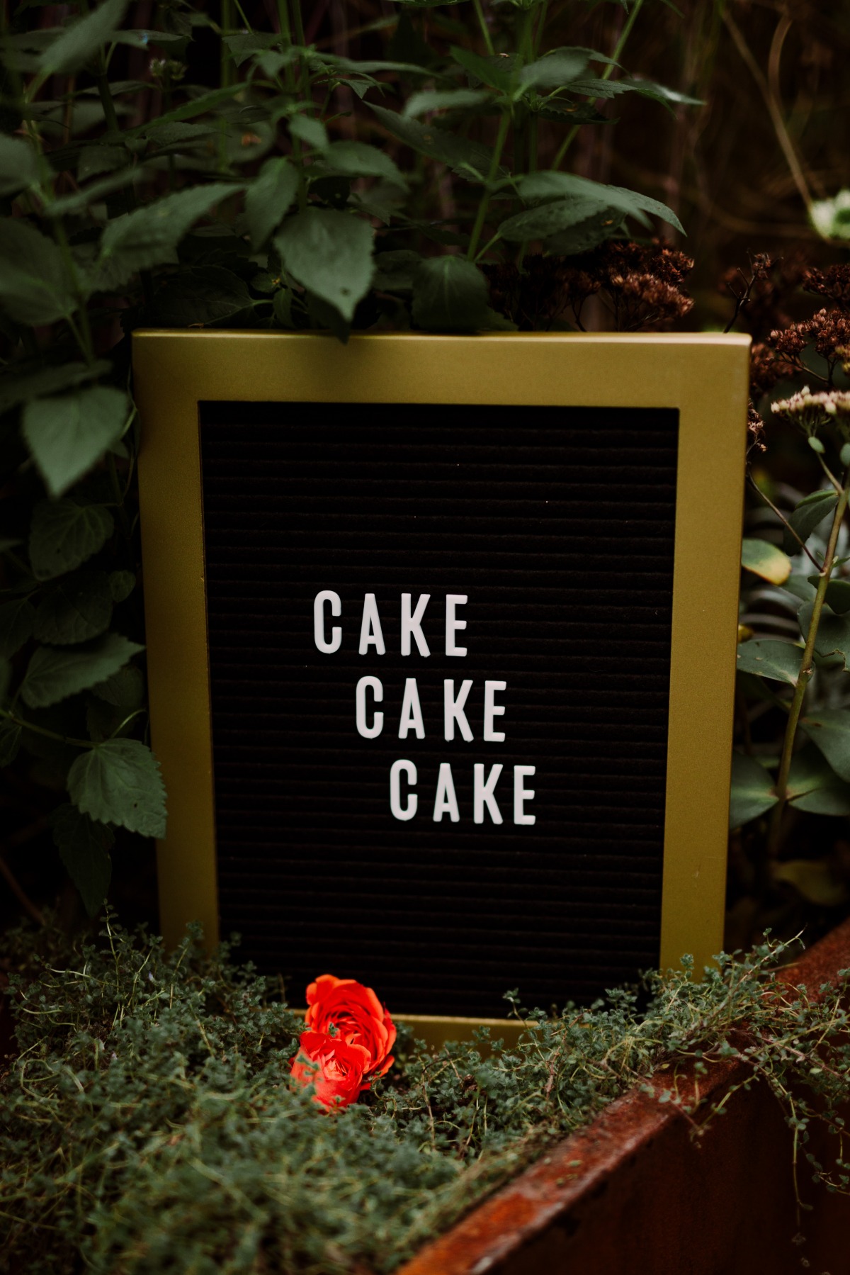 Cake cake cake