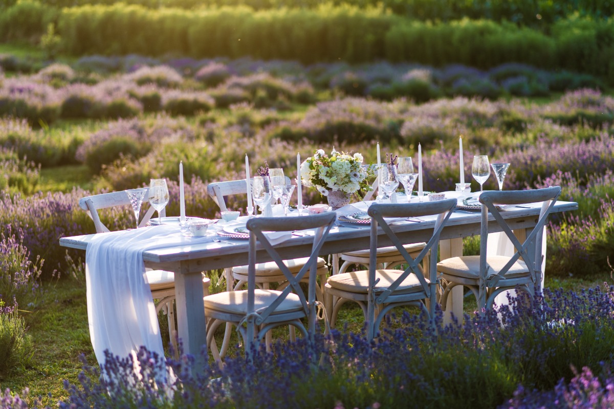 Reception in a lavender field