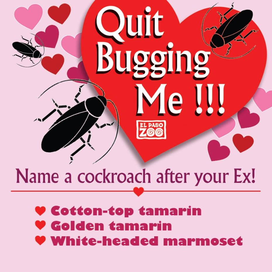 Quit Bugging Me Is the Best Valentineâs Day Get-Even Ever