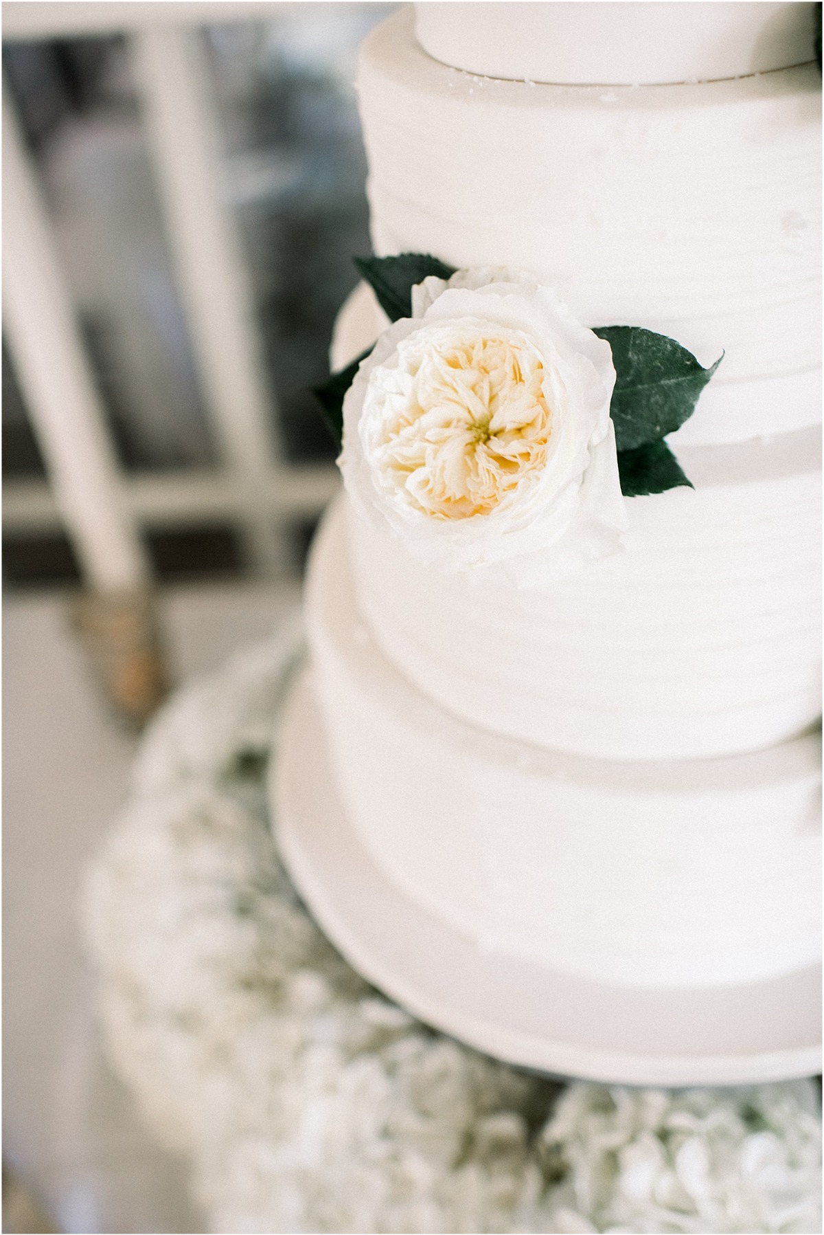 wilmington_wedding_photographer_3479