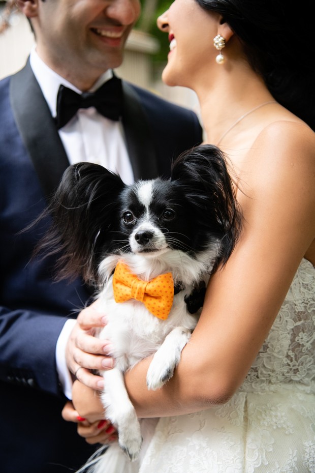 wedding pup with orange bow