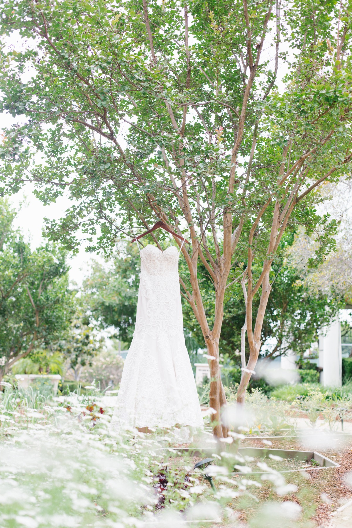 dimitra-jordan-sneak-peek-6