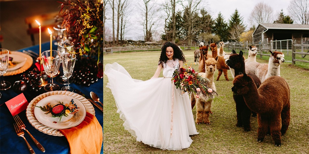 High Fashion Alpaca Farm Wedding Ideas