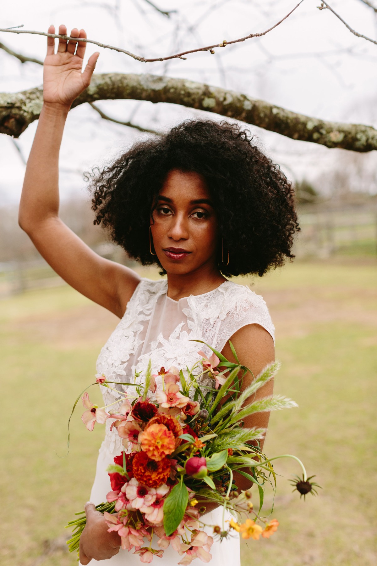 highlights_116_alpacastyledshoot