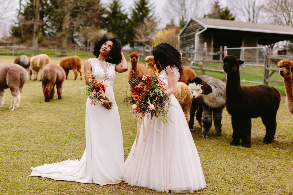 highlights_170_alpacastyledshoot