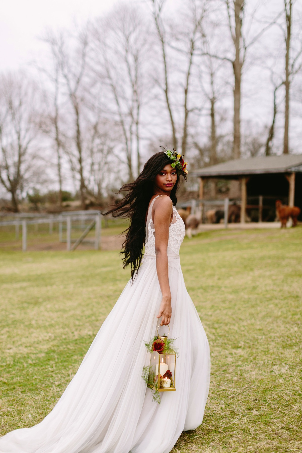 highlights_178_alpacastyledshoot