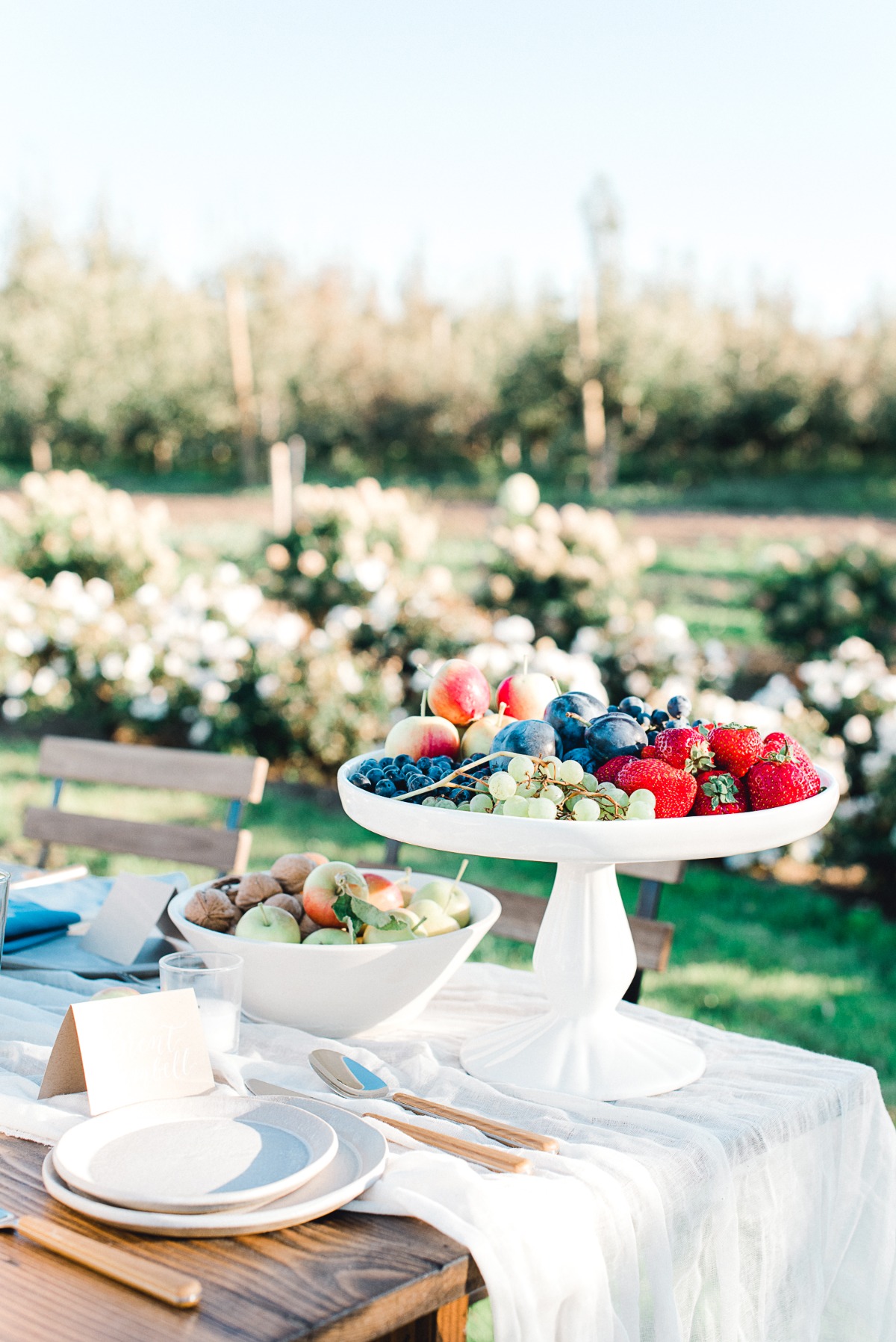 alfresco_pear_orchard_styled_shoot-32