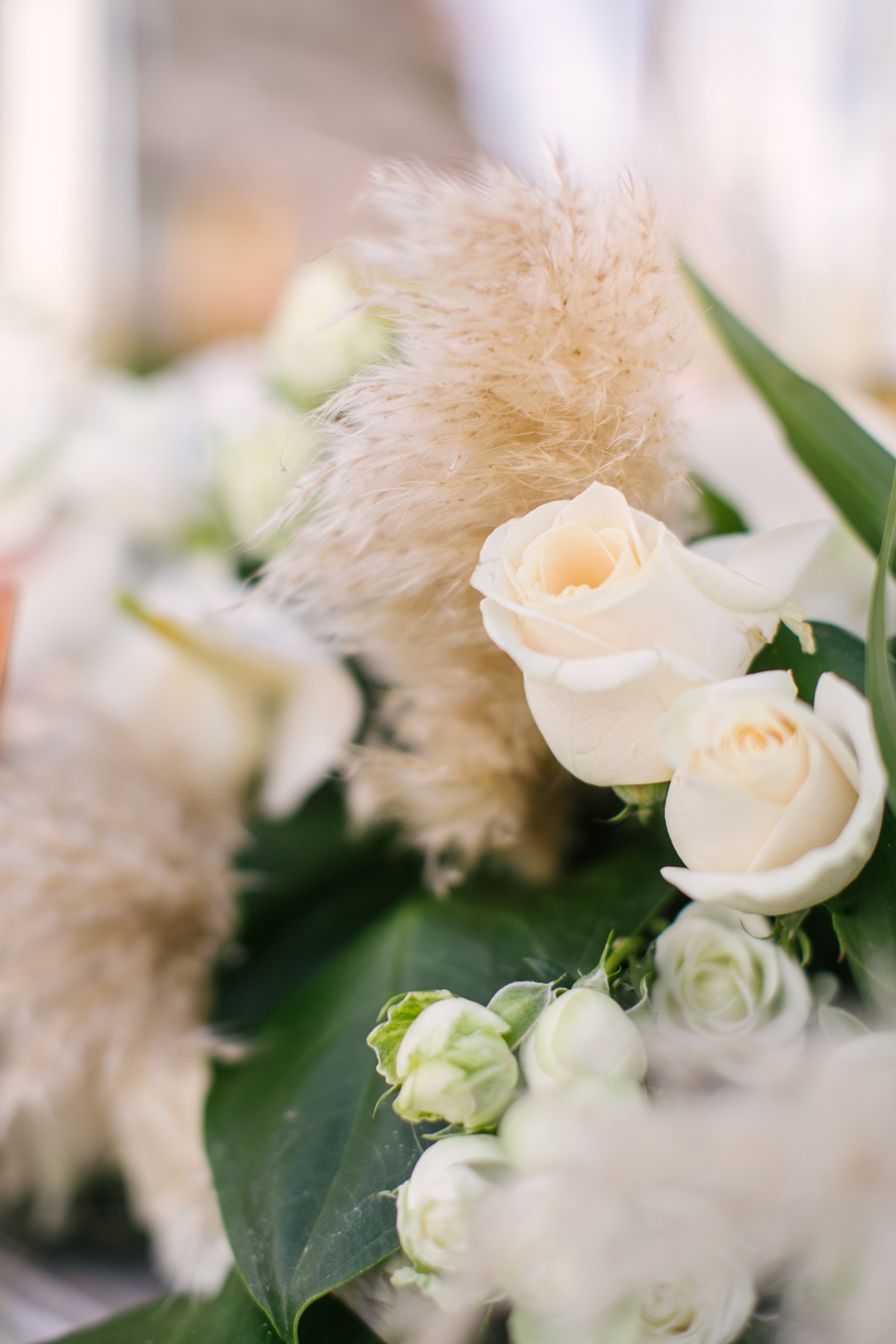 heathercookelliottphotography-1046