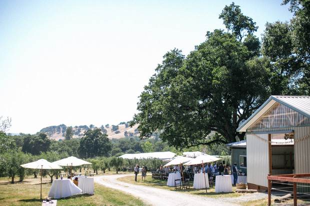 Olive Orchard wedding venue