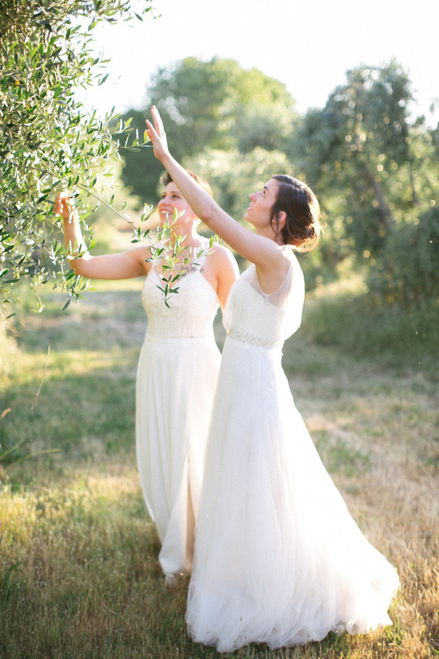 Farm Fresh Olive Orchard Wedding
