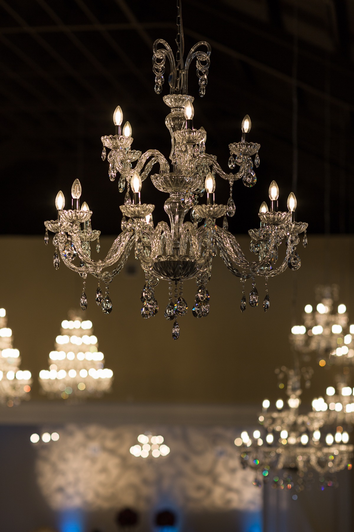 southern-lace-estates-beauty-beast-c-bar