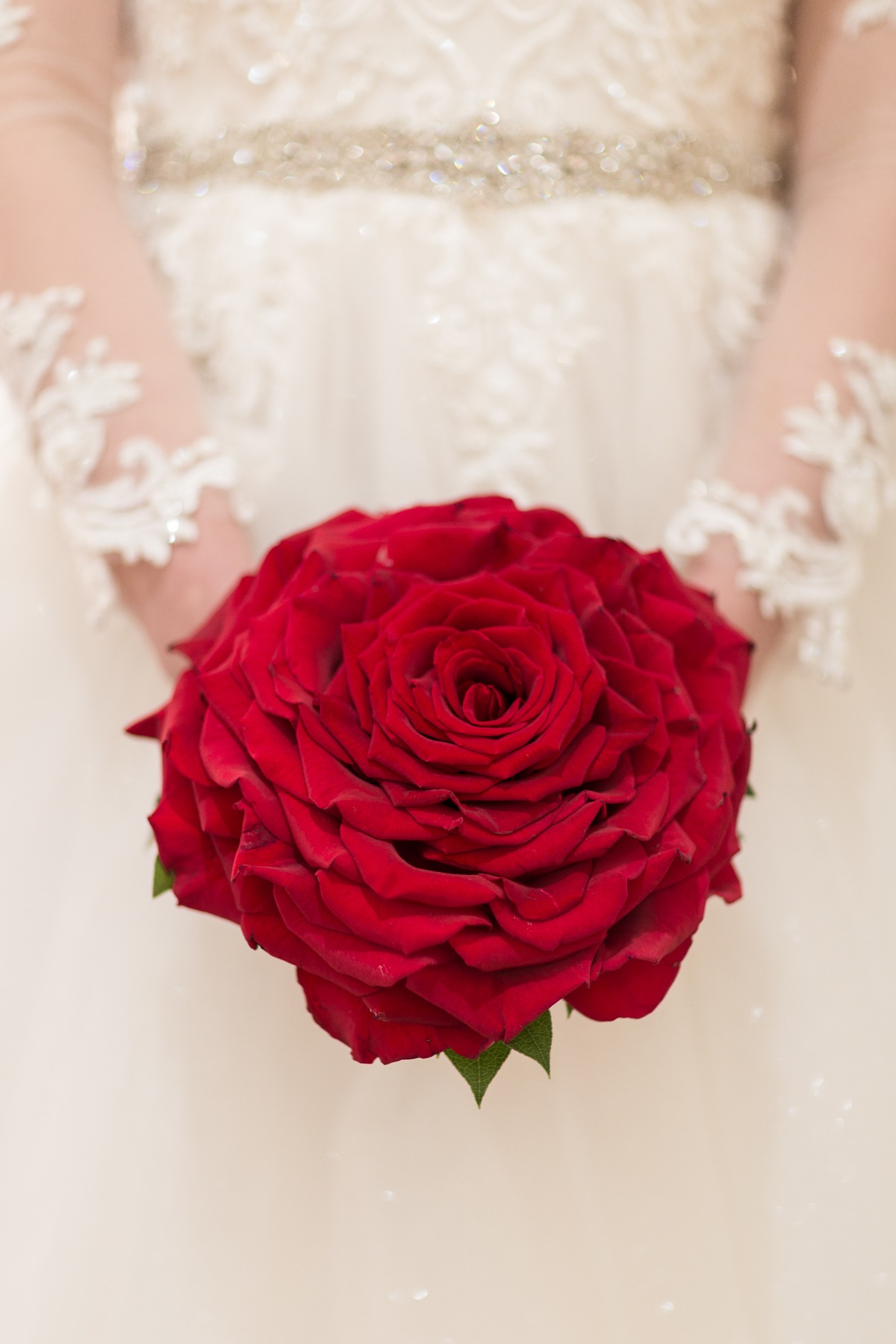 southern-lace-estates-beauty-beast-c-bar