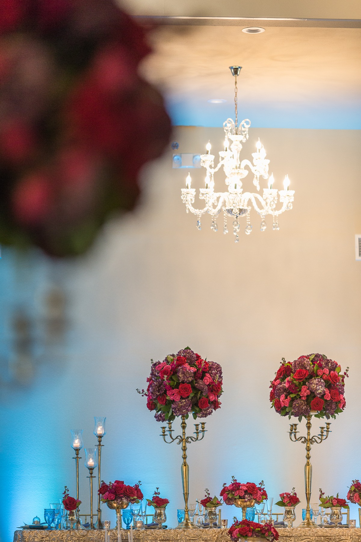 southern-lace-estates-beauty-beast-c-bar