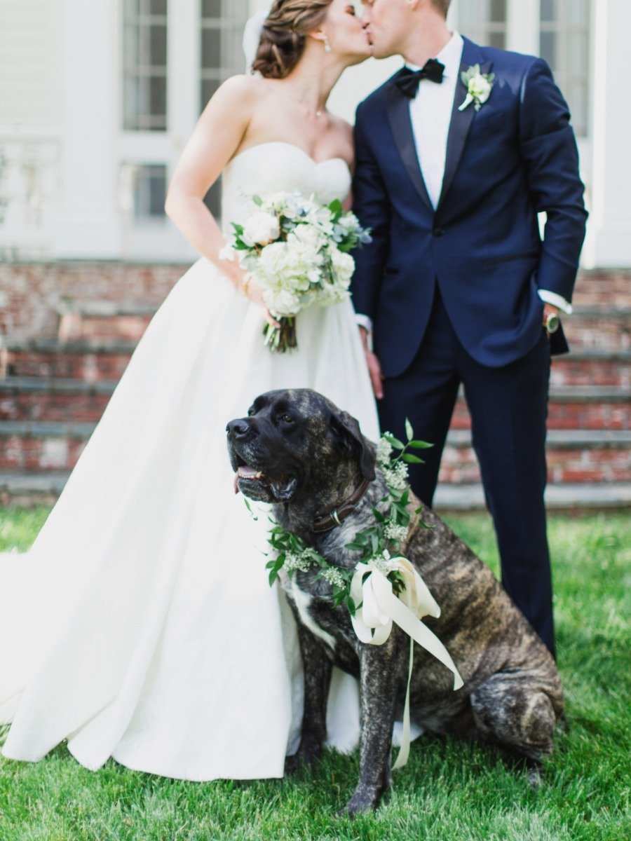 A Classic Southern Wedding in The Blue Ridge Mountains