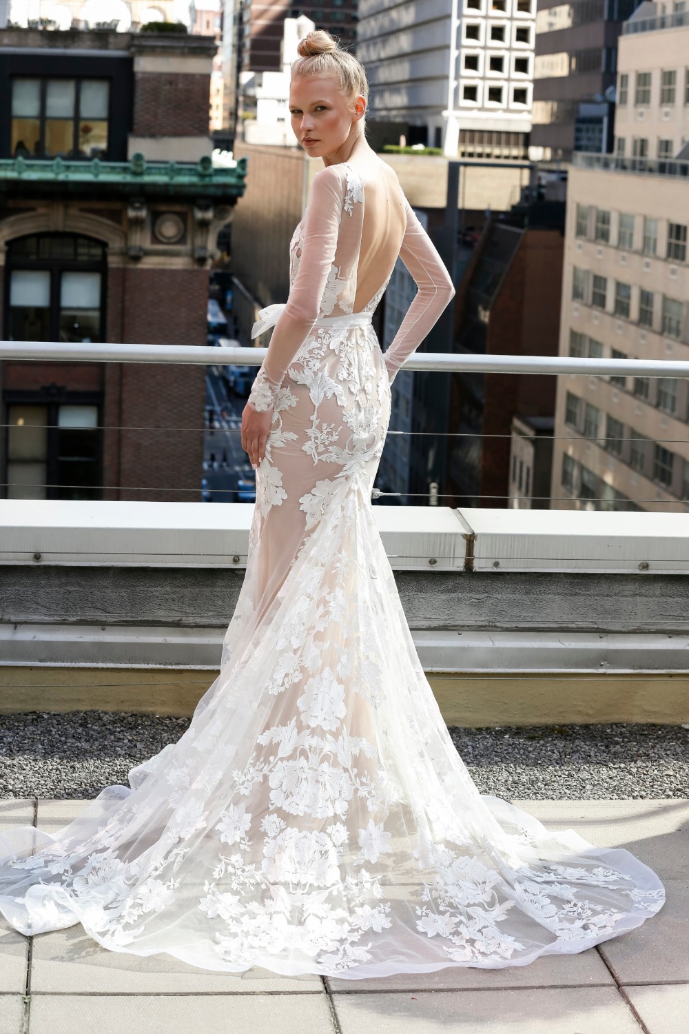 white-rose_back
