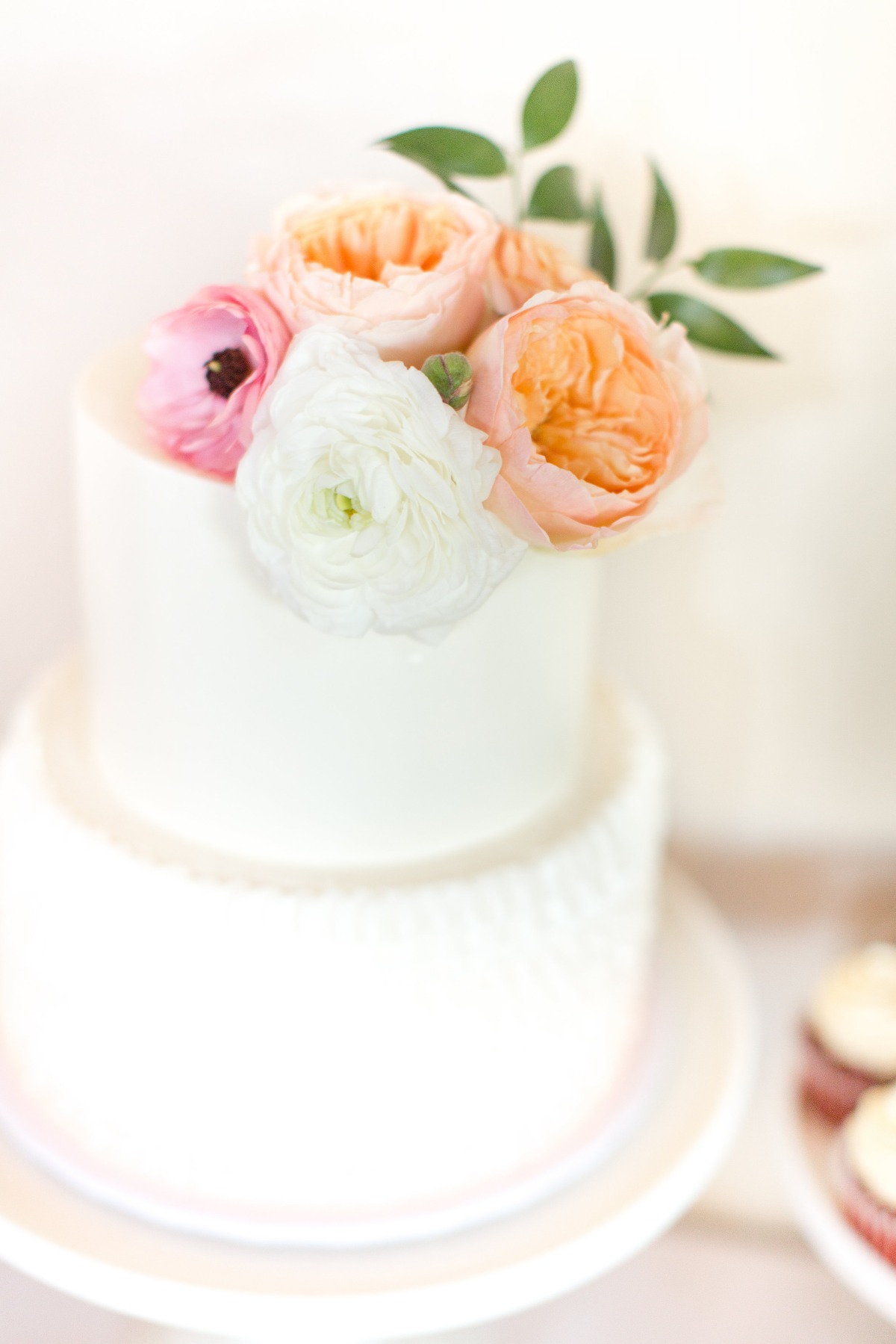 a_and_js-faves_0138
