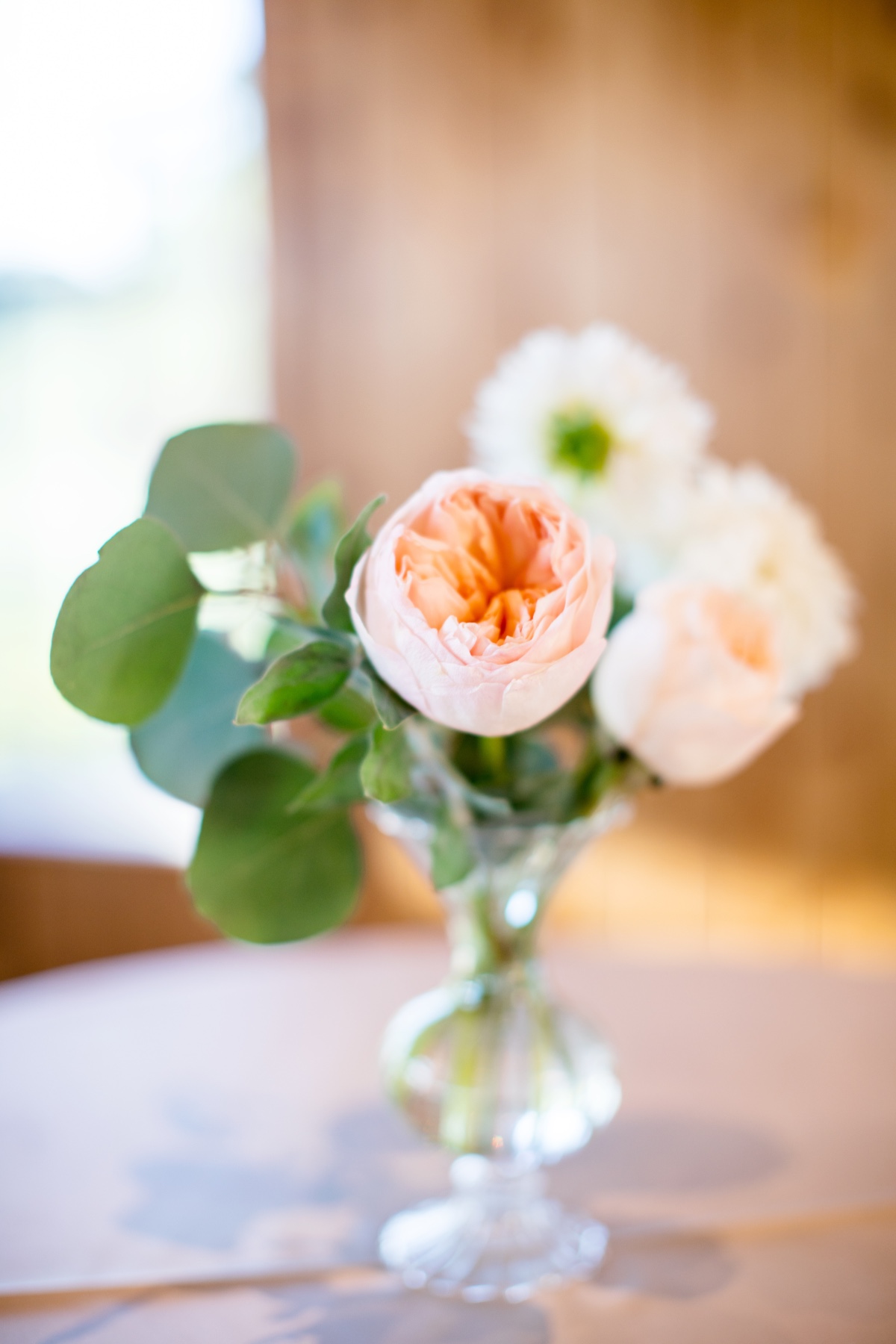 a_c_w___001883