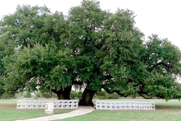 outdoor ceremony under a tree