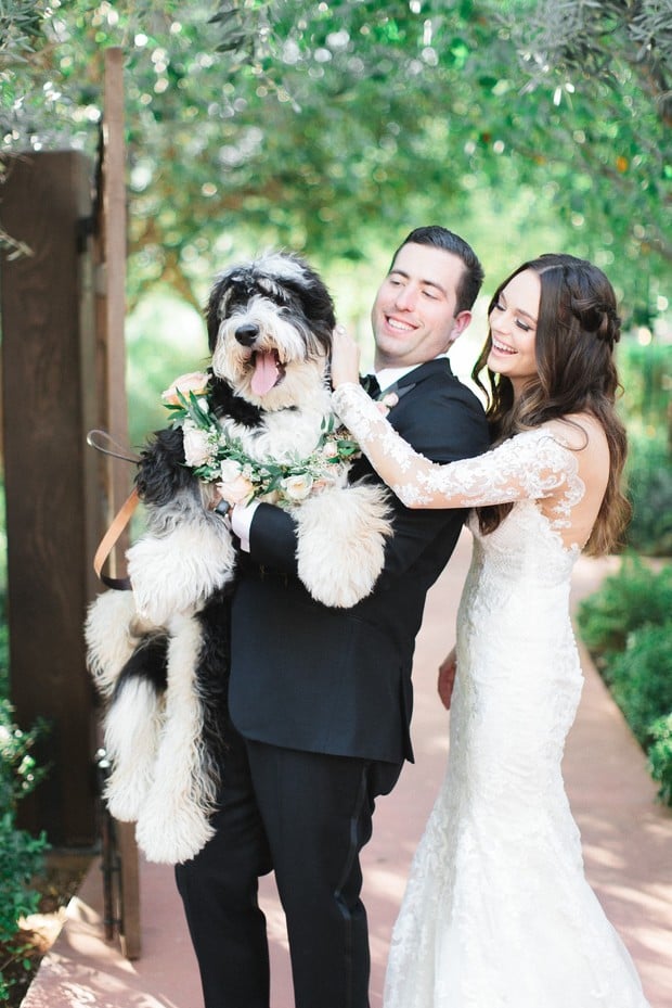 cute wedding pup