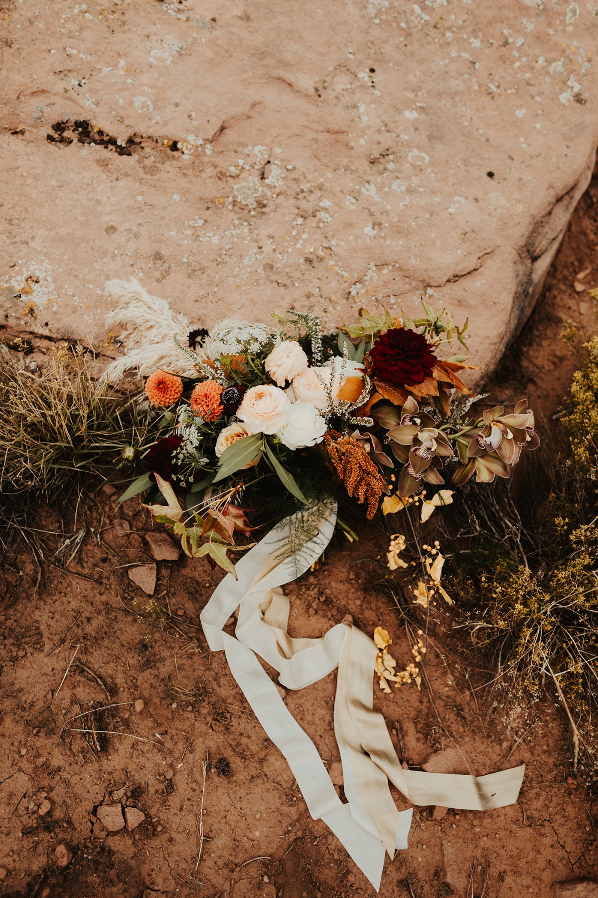 chloewillzionelopement17